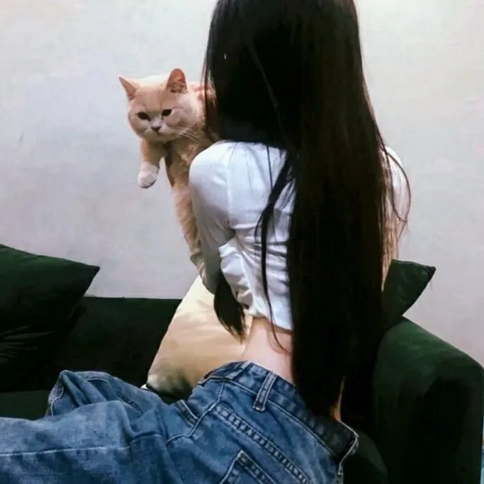 禽兽超人之无奸不摧
